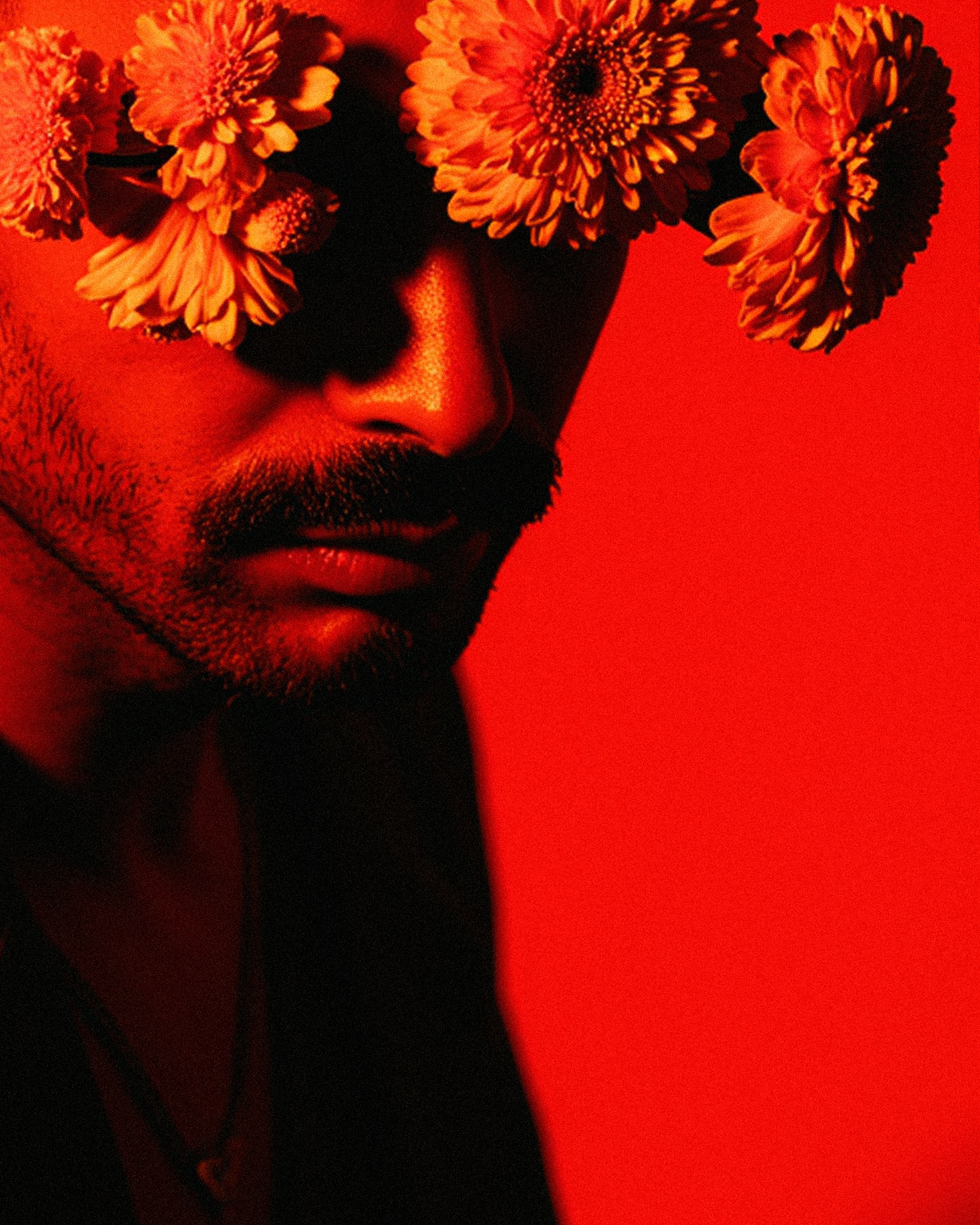 marco-vincit-Portrait No006.png — Red Light, Marco Vincit